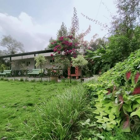 Silvershine Homestay Чикмагалур Екстер'єр фото