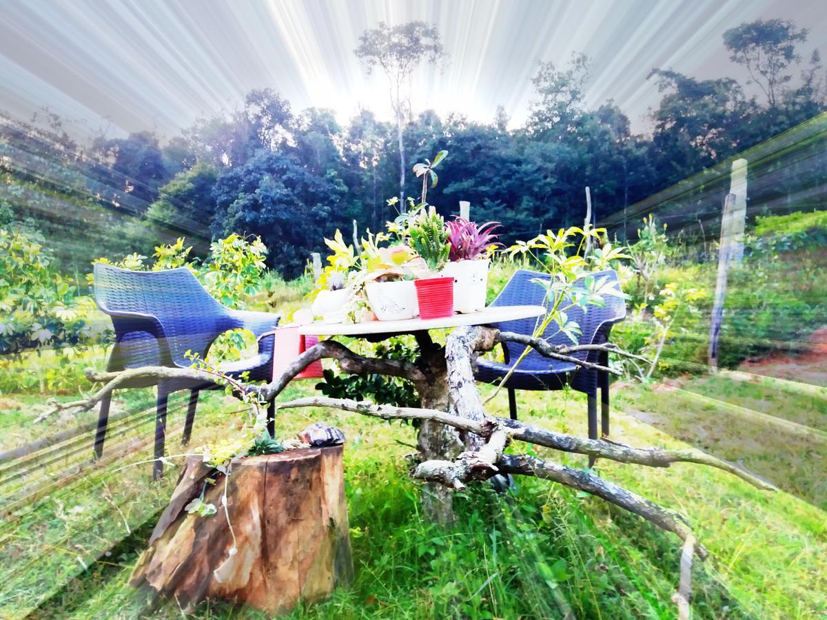 Silvershine Homestay Чикмагалур Екстер'єр фото